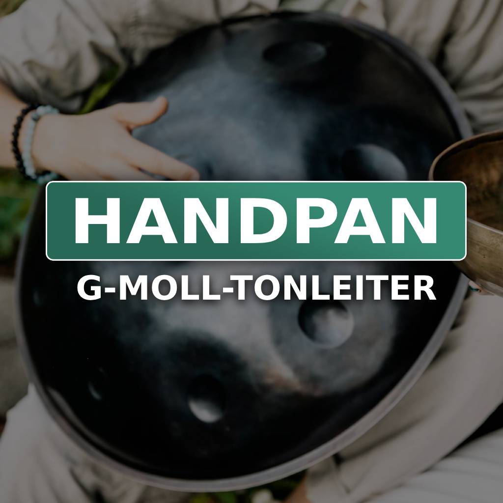 percussion instrument, handpan jetzt kaufen, wie man die Handpauke spielt